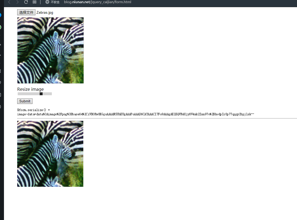 cropit jquery example
